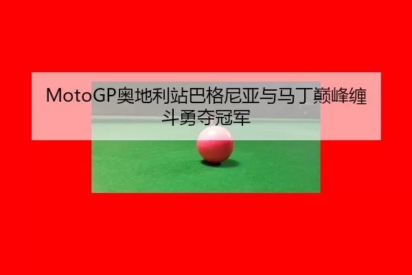 ao-di-li-zhan-ba-ge-ni-ya-yu-ma-ding-dian-feng-chan-dou-yong-duo-guan-jun-2-497.jpg