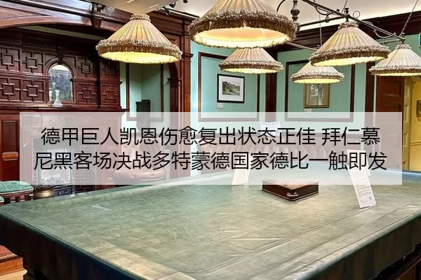 de-jia-ju-ren-kai-en-shang-yu-fu-chu-zhuang-tai-zheng-jia-bai-ren-mu-ni-hei-ke-chang-jue-zhan-duo-te-meng-de-guo-jia-de-3-135.jpg